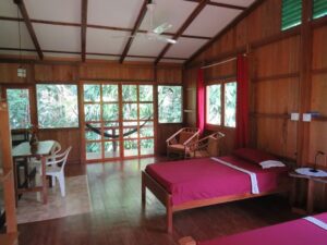 cabana premium bajo bosque 